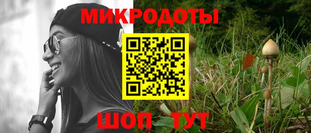 Псилоцибиновые грибы мицелий  Вход с VPN  где купить наркотик  Сыктывкар 
