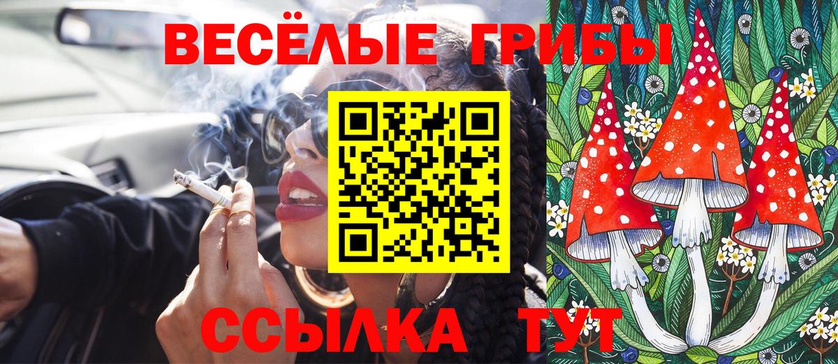 Галлюциногенные грибы прущие грибы Сыктывкар